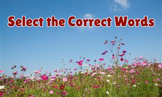We Give You the Meaning, You Choose the Word