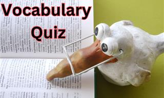 Vocabulary <b>Test</b>: Can You Match Meaning to Word?