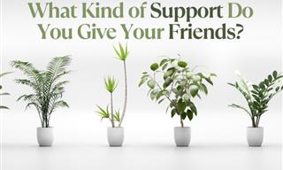 What Kind of Support Do You Give Your Friends?