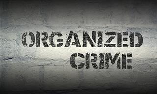 WDYK About Organized Crime?