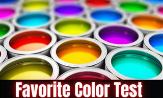 Which <b>Color</b> Family Do You Belong In?