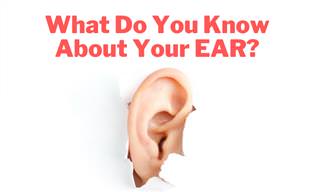 What Do You Know About Your Ears?