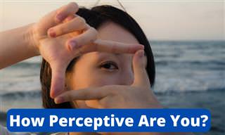 How Perceptive Are <b>You</b>?