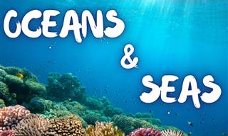 Earth&#x27;s Ocean and Sea <b>Quiz</b>