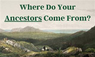 Where Are Your Ancestors <b>From</b>?