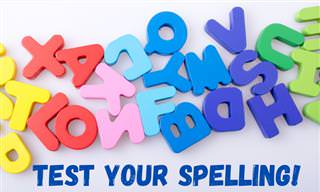 Put Your Spelling to the Test!