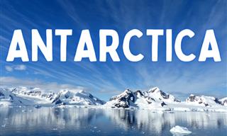 What Do You Know About Antarctica?