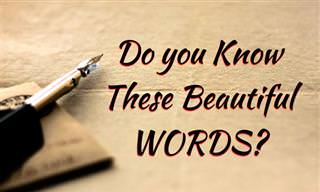 Can You Define These Beautiful Words?