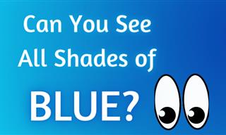 Can You See in Shades of Different Blues?