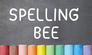 Spelling Bee