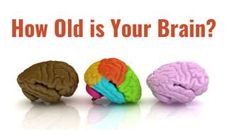 How Old is Your <b>BRAIN</b>?
