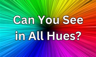 Eye Test: Can You See in All Hues?