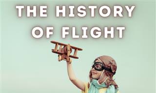 The <b>History</b> of Flight