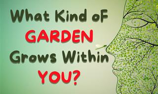 What Kind of Garden Grows in Your Mind?
