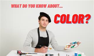 What Do You Know About <b>COLOR</b>?