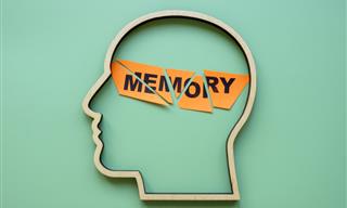A Light and Fun Memory Test for Brain Training