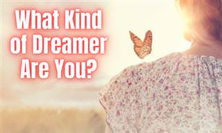 What Kind of Dreamer Are You?