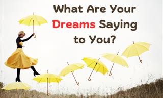 What Are Your Dreams Telling You?