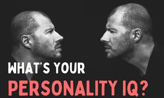 Your Personality <b>IQ</b>!