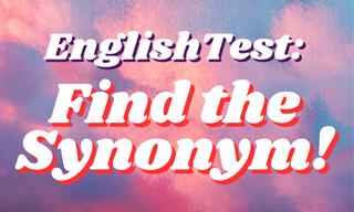 Find the Synonym