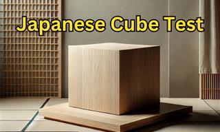 This Japanese Cube Test Reveals Your <b>Character</b>