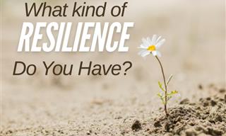 What Kind of Resilience Do You Have?