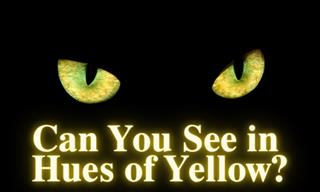 How Well Can You See Shades of Yellow?